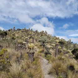 Nevado del Ruiz Interpretation Center - Caldas