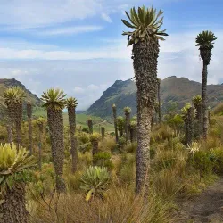 Nevado del Ruiz Volcano - Caldas