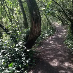 Cali Botanical Garden (Jardín Botánico de Cali) - Cali