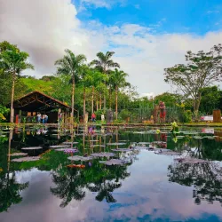 Cali Botanical Garden (Jardín Botánico de Cali) - Cali