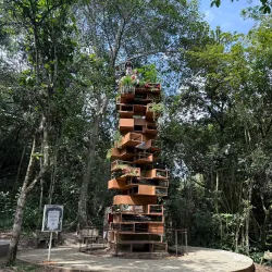 Cali Botanical Garden (Jardín Botánico de Cali) - Cali