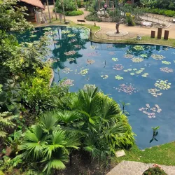 Cali Botanical Garden (Jardín Botánico de Cali) - Cali
