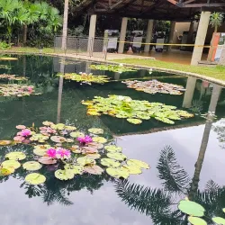 Cali Botanical Garden (Jardín Botánico de Cali) - Cali
