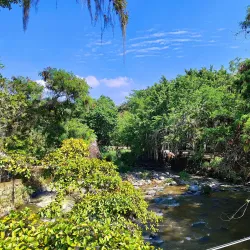 Cali Botanical Garden (Jardín Botánico de Cali) - Cali