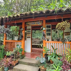 Cali Botanical Garden (Jardín Botánico de Cali) - Cali