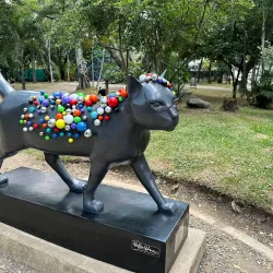 Parque de los Gatos (Cat Park) - Cali