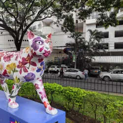 Parque de los Gatos (Cat Park) - Cali