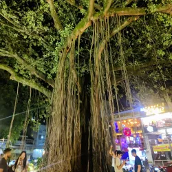 Parque del Perro - Cali