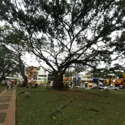 Parque del Perro - Cali