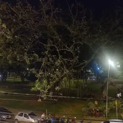 Parque del Perro - Cali