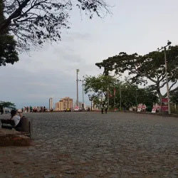 San Antonio Neighborhood - Cali