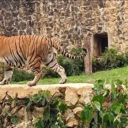 Zoológico de Cali (Cali Zoo) - Cali