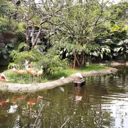 Zoológico de Cali (Cali Zoo) - Cali