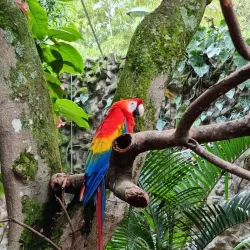 Zoológico de Cali (Cali Zoo) - Cali