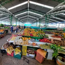 Mercado Municipal de Chía - Chía