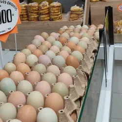 Mercado Municipal de Chía - Chía