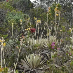 Parque de la Montaña - Chía