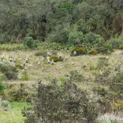 Parque de la Montaña - Chía