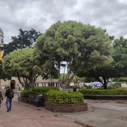 A vibrant street view in chia