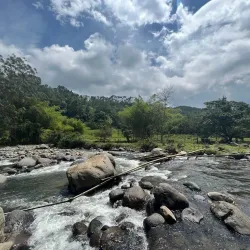Coffee Farm Tours - Chinchina