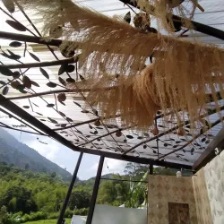 Coffee Museum (Museo del Café) - Chinchina