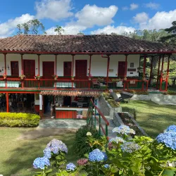 El Ocaso Ecological Reserve - Chinchina