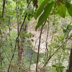 La Florida Waterfall - Chinchina