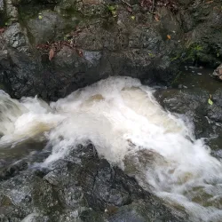 La Florida Waterfall - Chinchina