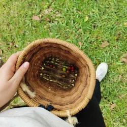 La Montaña del Ocaso - Chinchina