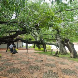Museo Casa Natal del General Santander - Cucuta