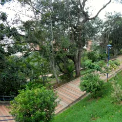 Parque Los Leones - Cucuta