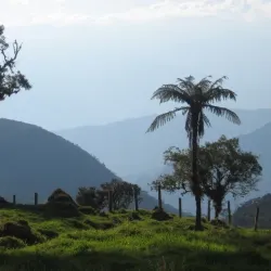Parque Nacional Natural Tamá - Cucuta