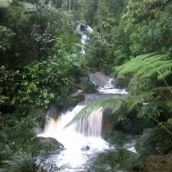 Parque Nacional Natural Tamá - Cucuta