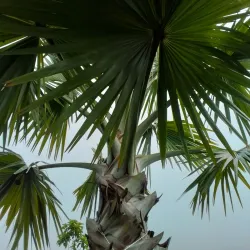 Parque Nacional Natural Tamá - Cucuta