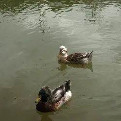 Parque La Marina - Dos Quebradas