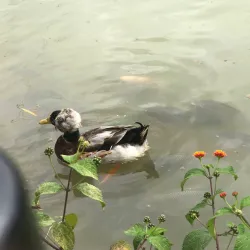 Parque La Marina - Dos Quebradas