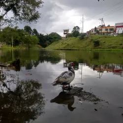 Parque La Marina - Dos Quebradas