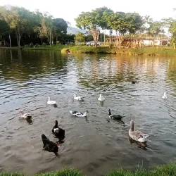 Parque La Marina - Dos Quebradas
