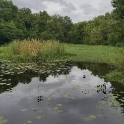 Parque Natural Isla de Salamanca - El Banco