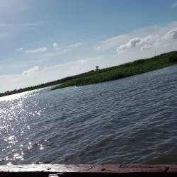 Parque Natural Isla de Salamanca - El Banco