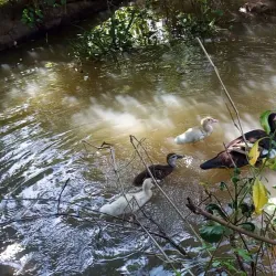 Parque Natural Isla de Salamanca - El Banco