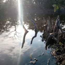 Parque Natural Isla de Salamanca - El Banco