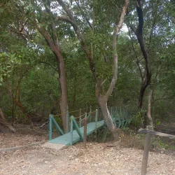 Parque Natural Isla de Salamanca - El Banco