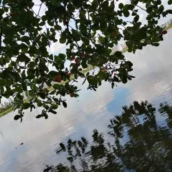 Parque Natural Isla de Salamanca - El Banco