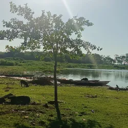 Playa de El Banco - El Banco