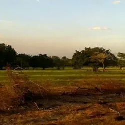 Reserva Natural Ciénaga de Zapatosa - El Banco