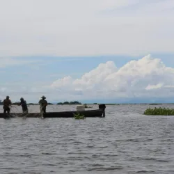Reserva Natural Ciénaga de Zapatosa - El Banco