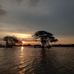 Reserva Natural Ciénaga de Zapatosa - El Banco