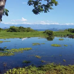 Reserva Natural Ciénaga de Zapatosa - El Banco