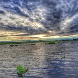 Reserva Natural Ciénaga de Zapatosa - El Banco